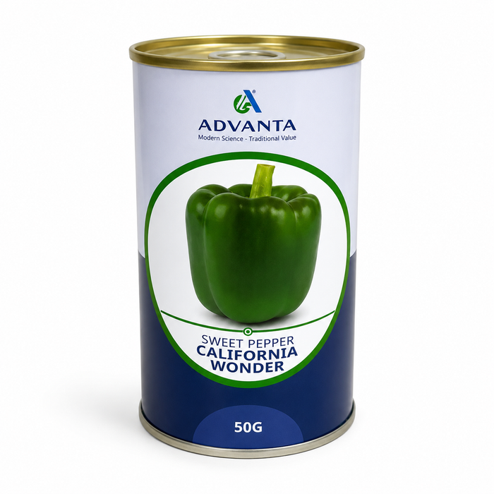 Advanta California Wonder green sweet pepper seeds 50g Uganda