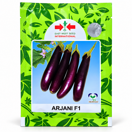 East-West Seed Arjani F1 hybrid eggplant seeds 5g packet with long purple eggplants