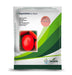 Assila hybrid tomato seeds Bayer Seminis for commercial tomato farming Uganda