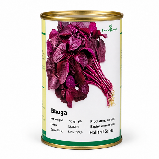 Bbuga Red Amaranth Vegetable Seeds 50g Uganda