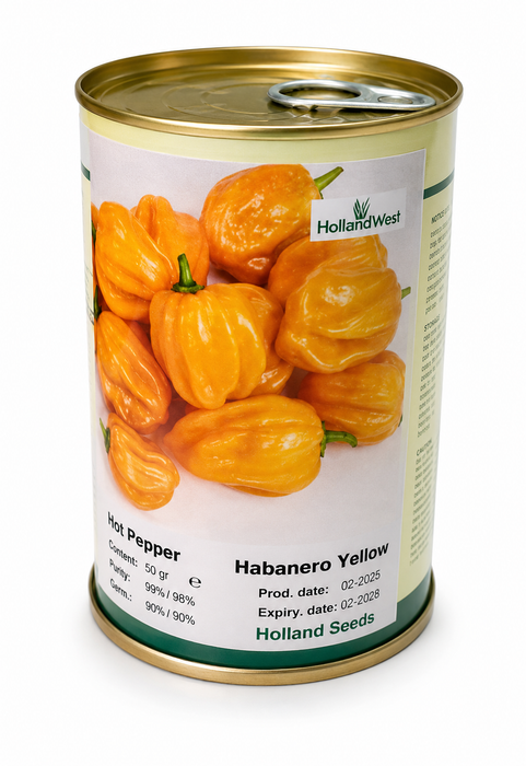 Habanero Yellow hot pepper seeds 50g Holland Seeds for sale in Kampala Uganda