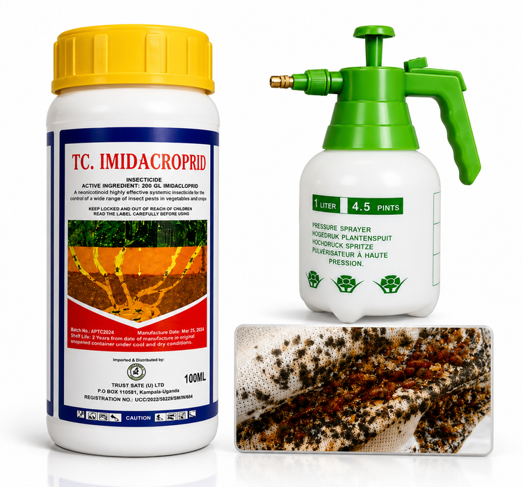 Imidacloprid a strong Bedbugs killer