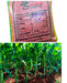 Longe 5 maize seeds 5KG pack for planting in Uganda