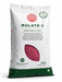 Mulato II Brachiaria hybrid forage grass seeds 2kg for cattle and livestock farming in Uganda
