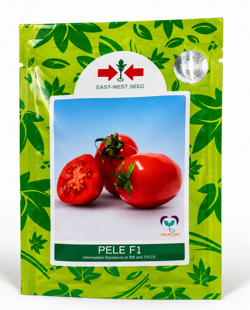 Hybrid Tomato Seeds 