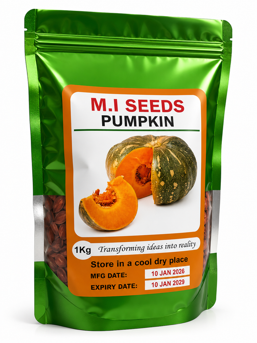 M.I Pumpkin Seeds 1KG for planting and pumpkin farming in Uganda