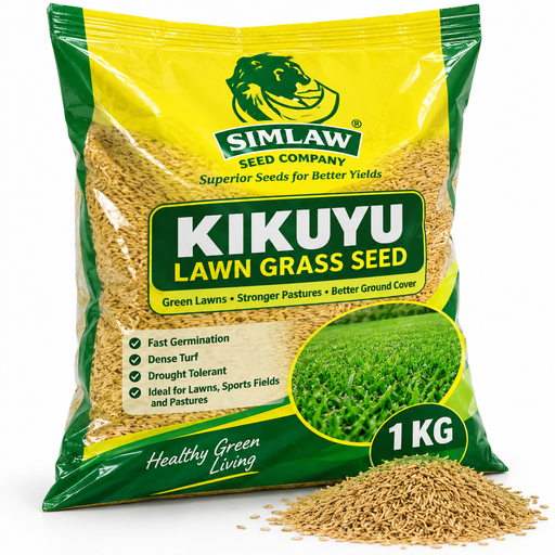 Simlaw Kikuyu Lawn Grass Seed 1KG for lawns and landscaping in Uganda