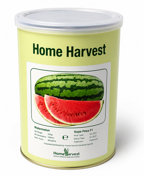 Supa Pesa F1 hybrid watermelon seeds Home Harvest for commercial farming in Uganda