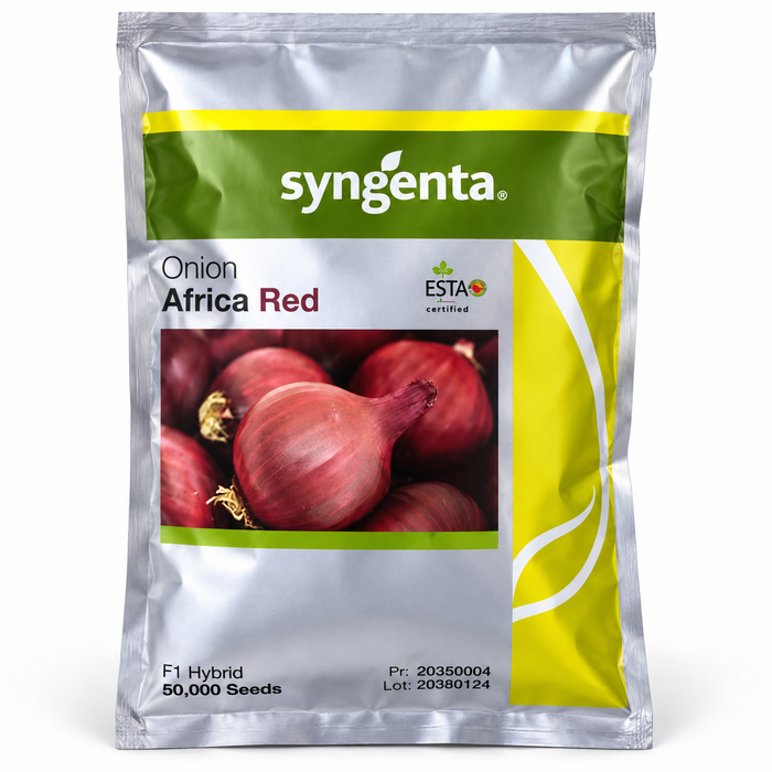 Syngenta Africa Red F1 hybrid red onion seeds 50,000 seed pack in Uganda