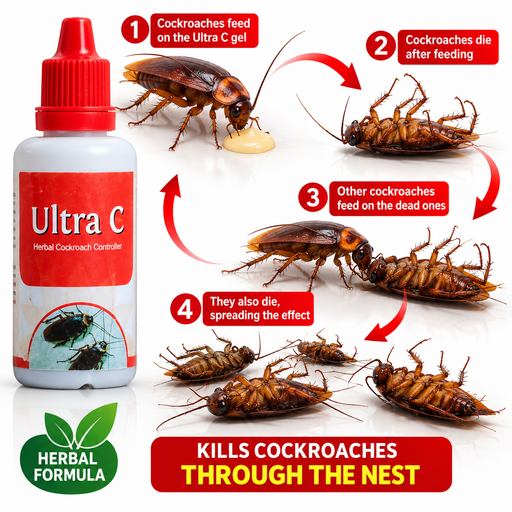 Ultra C odorless cockroach killing gel for cockroach control in Uganda