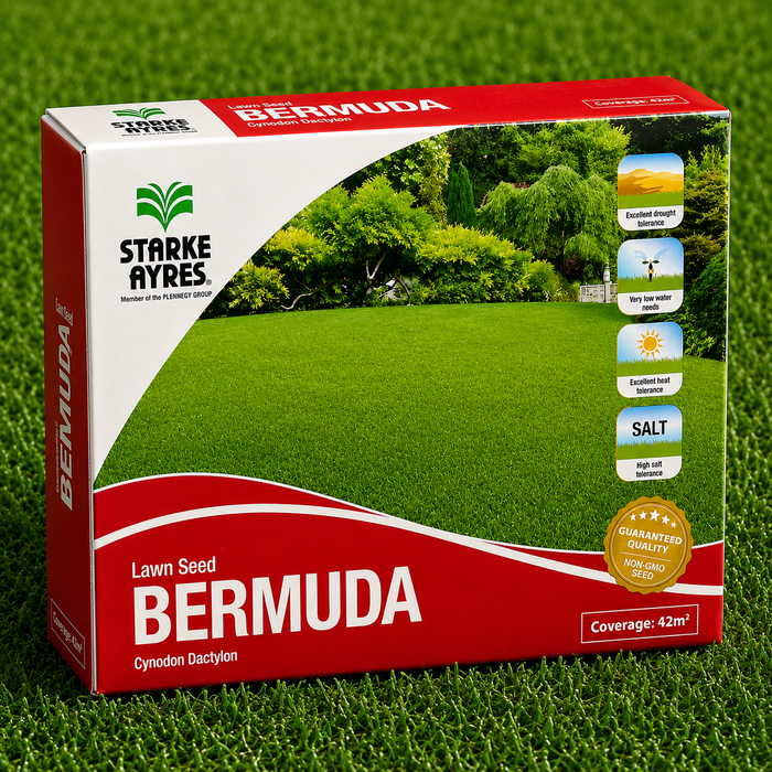 Bermuda Lawn Grass Seeds