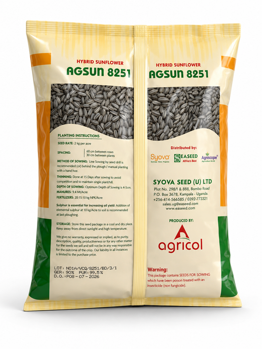 AGSUN 8251 Hybrid Sunflower Seeds 1kg – High Yield | Uganda