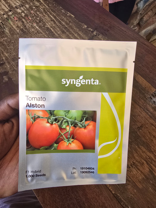 Syngenta Alston F1 Hybrid Tomato Seeds – 1,000 Seeds | High Yield Tomato Seeds Uganda