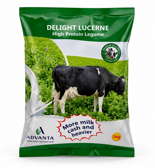 Lucerne- Alfa alfa pasture grass seeds 1kg.
