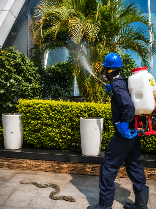Snakes,Lizards and Rats Fumigation.