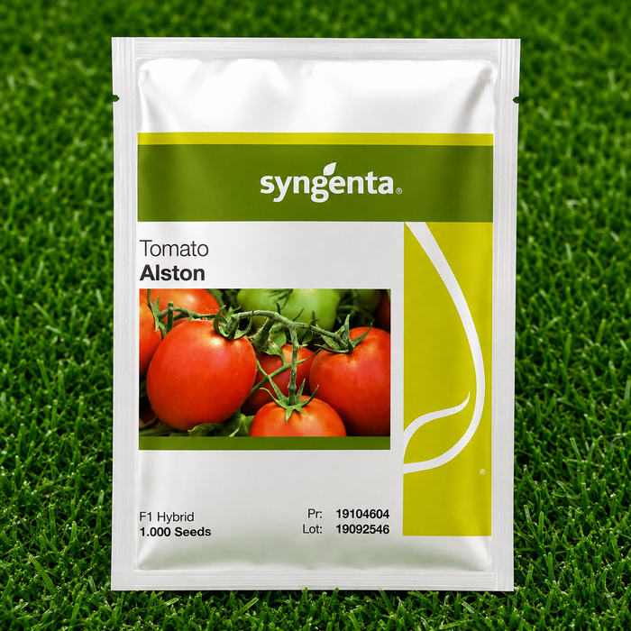Syngenta Alston F1 Hybrid Tomato Seeds – 1,000 Seeds | High Yield Tomato Seeds Uganda