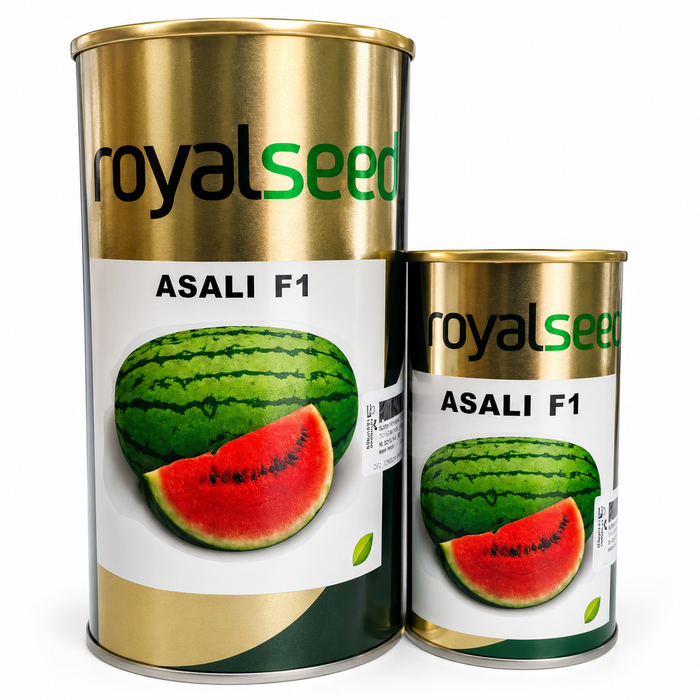 Asali F1 Hybrid Watermelon Seeds (Royal Seeds Brand)